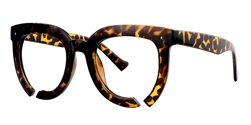Round Tortoise Glasses | Zeelool Eyeglasses Online2