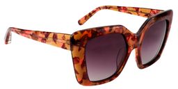 Caesar Square Brown Sunglasses2