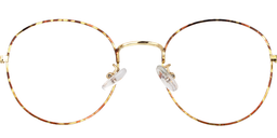 Jenica Round Gold Floral Glasses2