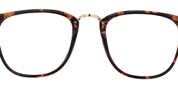 Devin Rectangle Tortoise Glasses2