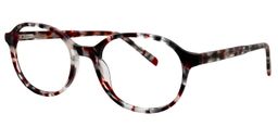 Adamson Oval Tortoise/Clear Glasses3
