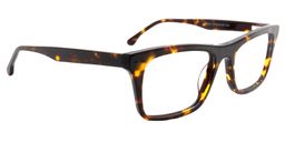 Adolph Rectangle Tortoise Glasses3