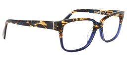 Waylon Rectangle Tortoise Glasses2