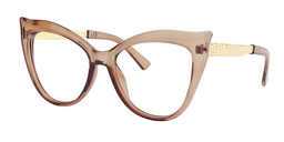 Riji Butterfly Brown Glasses2