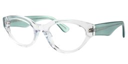 Alonzo Oval Clear Glasses2