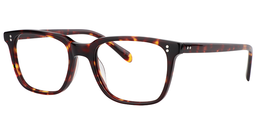 Lamont Tortoise Rectangle Glasses3