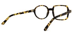 Tony Asymmetric Tortoise Glasses4