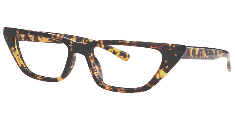 Geometric Tortoise Eyeglasses 3