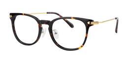 Terrell Oval Tortoise Glasses2