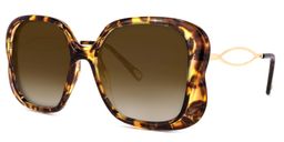 Hanley Geometric Tortoise Sunglasses1