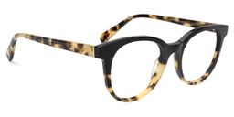 Carney Round Tortoise Glasses2