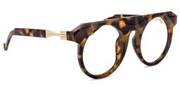 Hawthorne Round Tortoise Glasses2