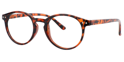 Hulda Oval Tortoise Reading Glasses2