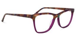 Denton Square Purple Glasses2