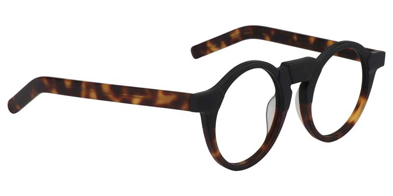Round Tortoise-Gold Glasses | Zeelool Eyewear3