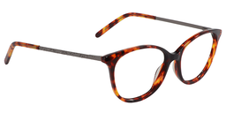 Vida Oval Tortoise Glasses 2