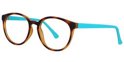 Robbie Round Gold Tortoise Glasses3