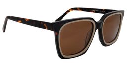 Akbar Square Tortoise Sunglasses3