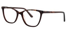 Alden Square Brown Glasses2