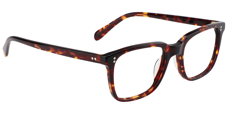 Lamont Rectangle Tortoise Frame Glasses | Zeelool4