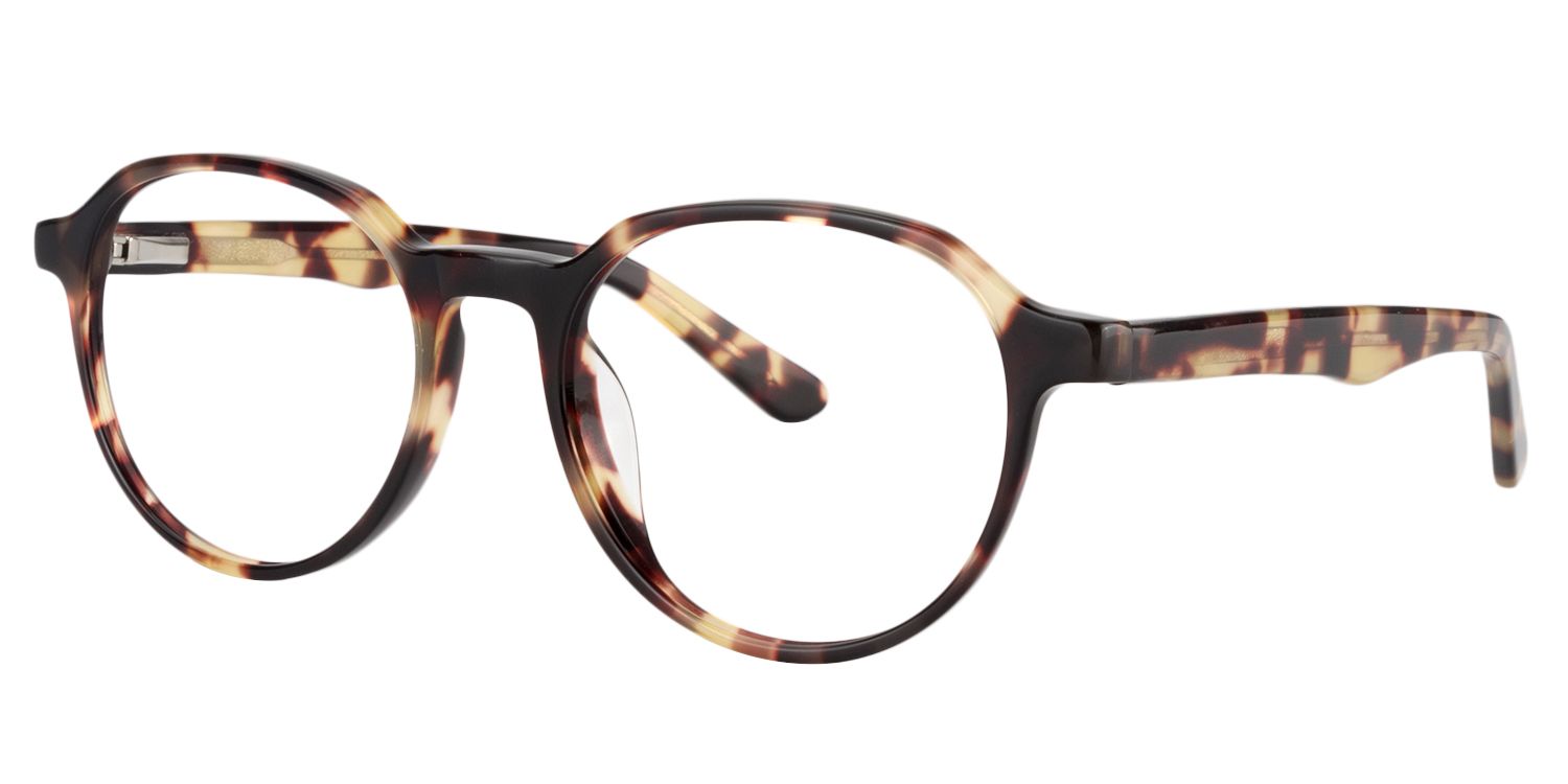 Round Tortoise Glasses | Zeelool Glasses2
