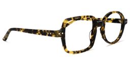 Tony Asymmetric Tortoise Glasses2