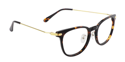 Terrell Oval Tortoise Glasses3