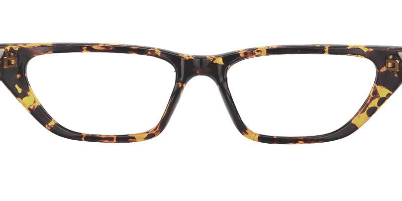 Geometric Tortoise Eyeglasses 2