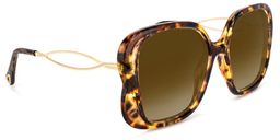Hanley Geometric Tortoise Sunglasses2