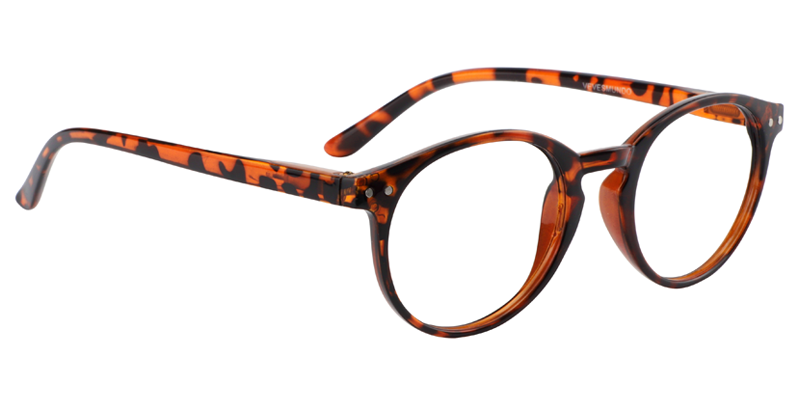 Oval Tortoise Reading Glasses | Zeelool Reading Glasses3