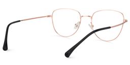 Dunham Geometric Rose-Gold Glasses4