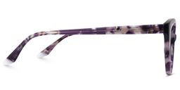 Eugenia Cateye Purple Tortoise Glasses3