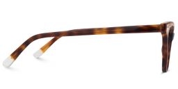 Eaton Cateye Tortoise Glasses3
