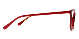 Edison Rectangle Red Tortoise Glasses3