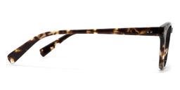 Elton Square Light-Tortoise Glasses3