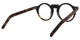 Jamie Round Tortoise-Gold Glasses5