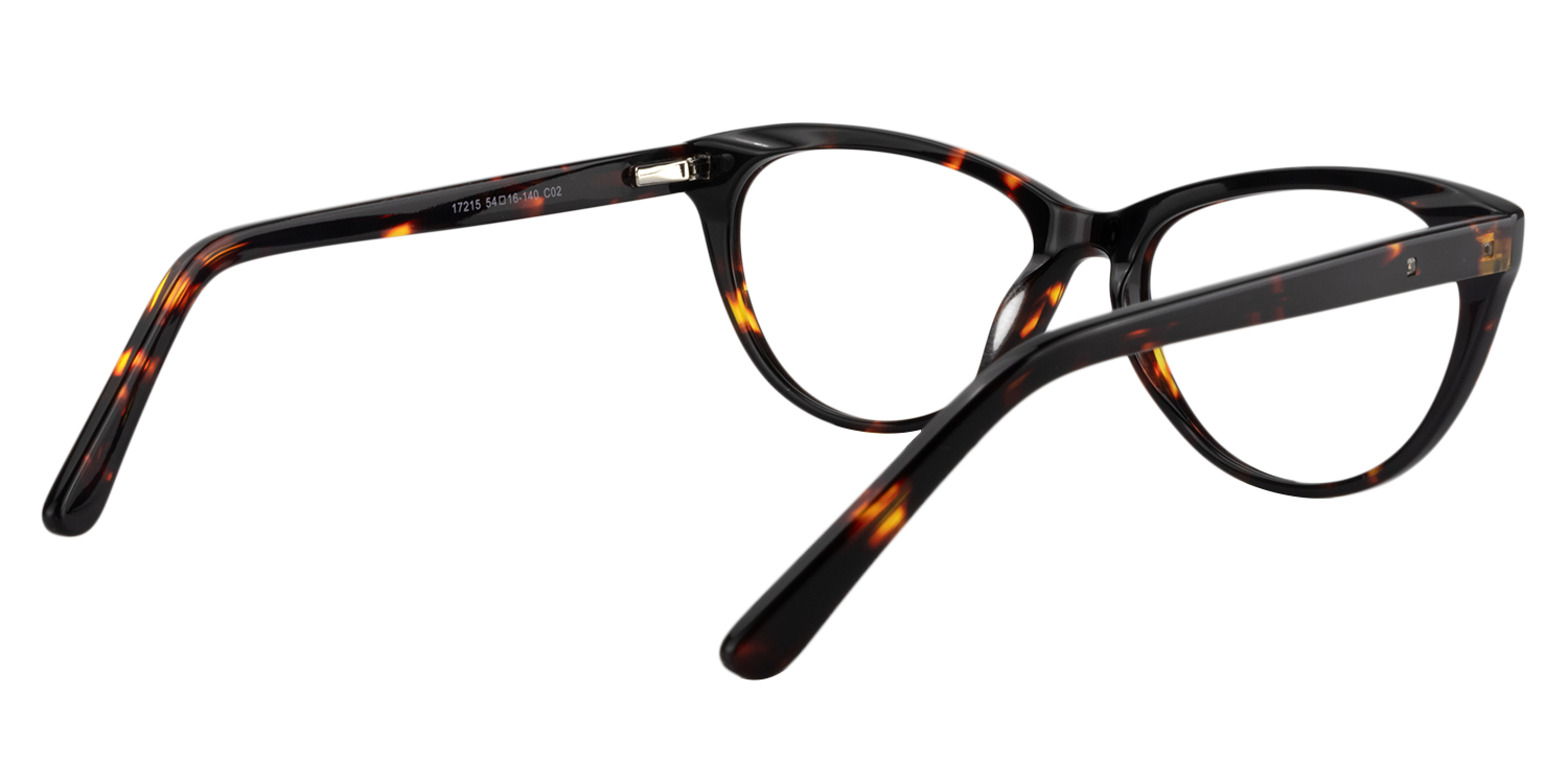 Cat eye Tortoise Glasses | Zeelool Glasses5