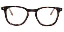 Addams Square Tortoise Glasses0