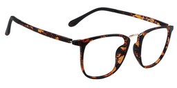 Devin Rectangle Tortoise Glasses4