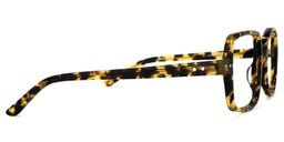 Tony Asymmetric Tortoise Glasses3