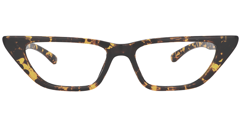 Geometric Tortoise Eyeglasses 0