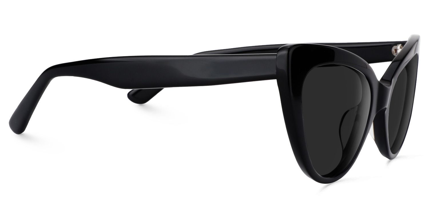 Claudette Acetate Black Cat Eye Frame Sunglasses | ZEELOOL2