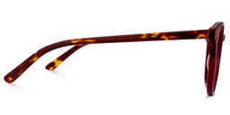 Donnelly Round Dark Red Glasses3