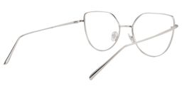 Ariel Cat Eye Silver Glasses5