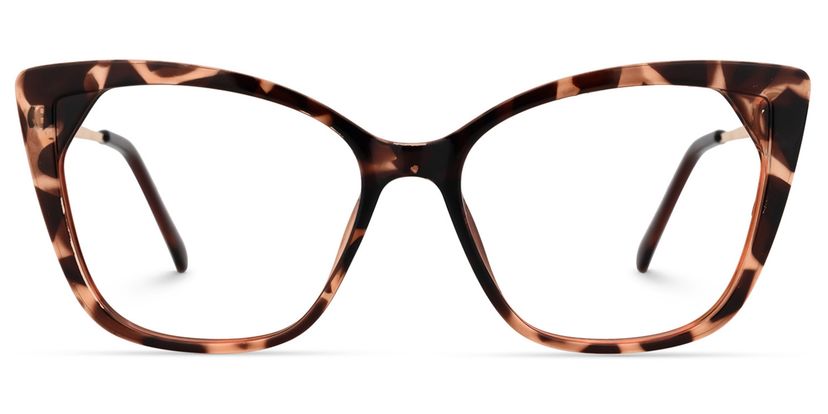 Shaffer Cateye Tortoise Glasses