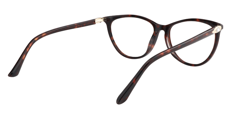 Oval Tortoise Glasses | Zeelool Eyeglasses5