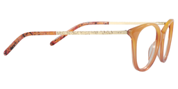 Vida Oval Orange Glasses 4