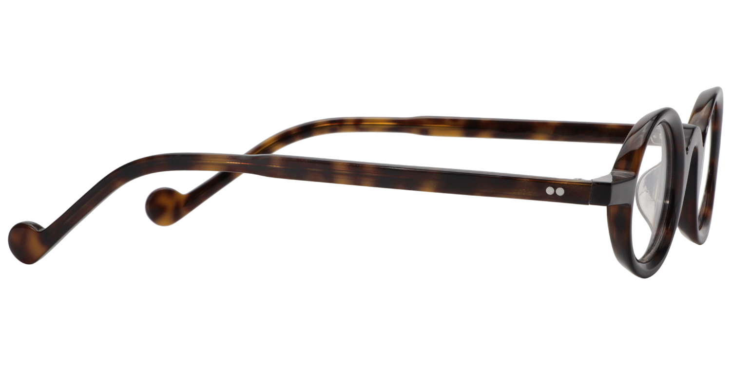 Aaron Round Tortoise Glasses | Zeelool Eyeglass Frames4