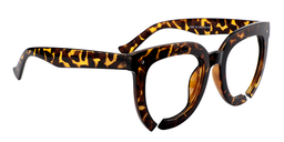 Maloney Round Tortoise Glasses3