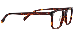 Lamont Tortoise Rectangle Glasses5